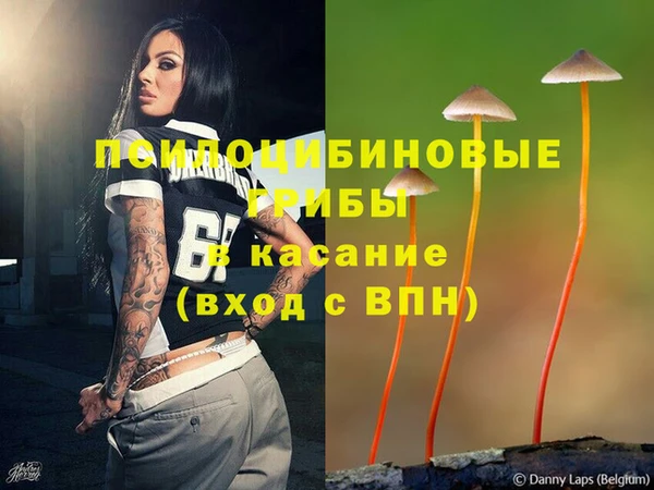 героин Лагань