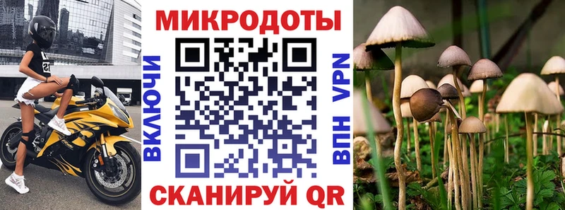 где можно купить наркотик  Октябрьский  Галлюциногенные грибы GOLDEN TEACHER 
