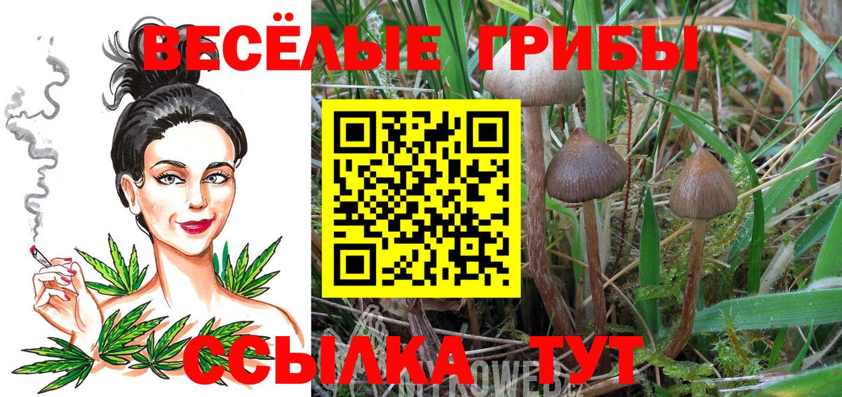 Псилоцибиновые грибы Cubensis  Вход с VPN  Галлюциногенные грибы мухоморы  Октябрьский 